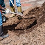 Gartenarbeiten im Herbst
