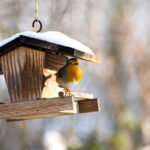 Vogelhäuschen im Garten